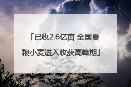 已收2.6亿亩 全国夏粮小麦进入收获高峰期