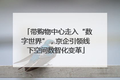 带购物中心走入“数字世界”，京企引领线下空间数智化变革