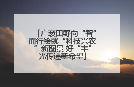 广袤田野向“智”而行绘就“科技兴农”新图景 好“丰”光传递新希望