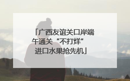 广西友谊关口岸端午通关“不打烊” 进口水果抢先机