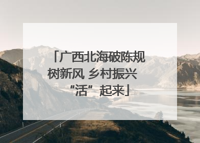 广西北海破陈规树新风 乡村振兴“活”起来