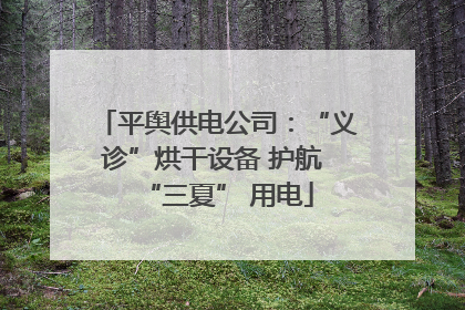 平舆供电公司：“义诊”烘干设备 护航 “三夏” 用电