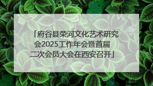 府谷县荣河文化艺术研究会2025工作年会暨首届二次会员大会在西安召开