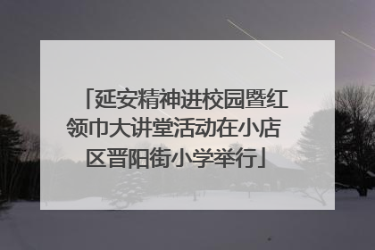 延安精神进校园暨红领巾大讲堂活动在小店区晋阳街小学举行