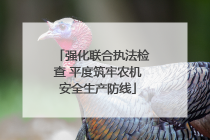 强化联合执法检查 平度筑牢农机安全生产防线