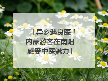 异乡遇良医！内蒙游客在南阳感受中医魅力
