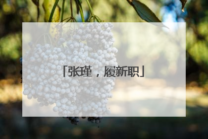 张瑾，履新职
