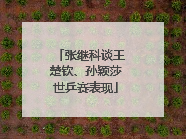 张继科谈王楚钦、孙颖莎世乒赛表现