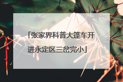 张家界科普大篷车开进永定区三岔完小