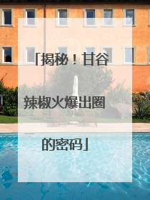 揭秘！甘谷辣椒火爆出圈的密码