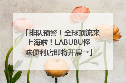 排队预警！全球顶流来上海啦！LABUBU怪味便利店即将开展→