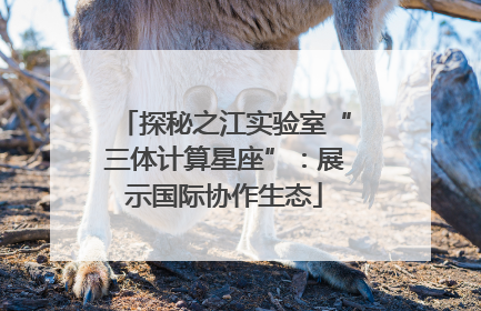 探秘之江实验室“三体计算星座”：展示国际协作生态