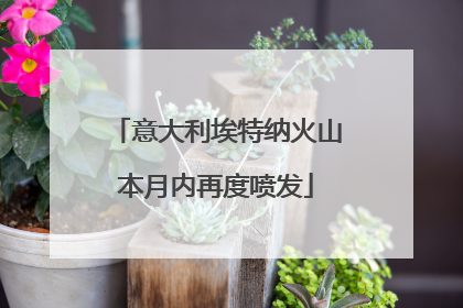 意大利埃特纳火山本月内再度喷发