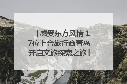 感受东方风情 17位上合旅行商青岛开启文旅探索之旅