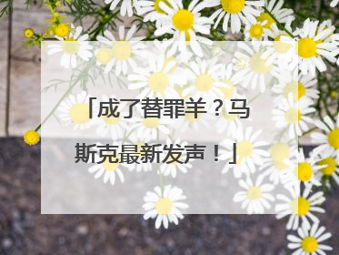 成了替罪羊？马斯克最新发声！