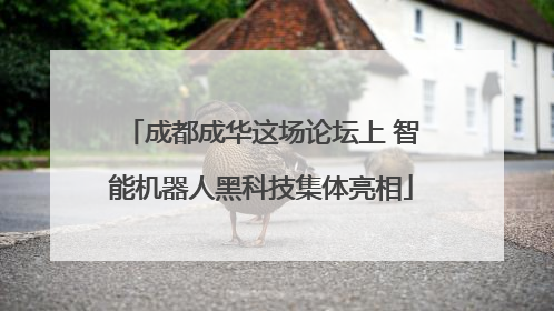 成都成华这场论坛上 智能机器人黑科技集体亮相