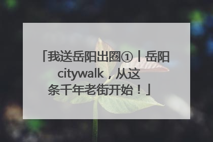 我送岳阳出圈①丨岳阳citywalk，从这条千年老街开始！