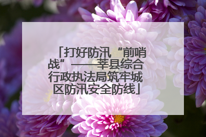 打好防汛“前哨战”——莘县综合行政执法局筑牢城区防汛安全防线