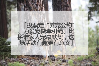投票定“养宠公约”、为爱宠做牵引绳、比拼谁家人宠最默契，这场活动有趣更有意义