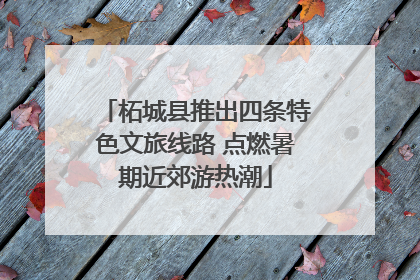 柘城县推出四条特色文旅线路 点燃暑期近郊游热潮