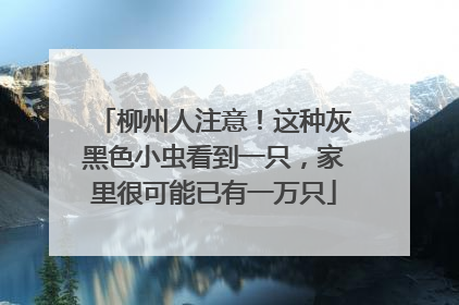 柳州人注意！这种灰黑色小虫看到一只，家里很可能已有一万只