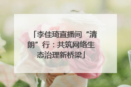 李佳琦直播间“清朗”行：共筑网络生态治理新桥梁