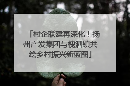 村企联建再深化！扬州产发集团与槐泗镇共绘乡村振兴新蓝图