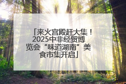 来火宫殿赶大集！2025中非经贸博览会“味道湖南”美食市集开启