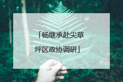 杨继承赴尖草坪区政协调研