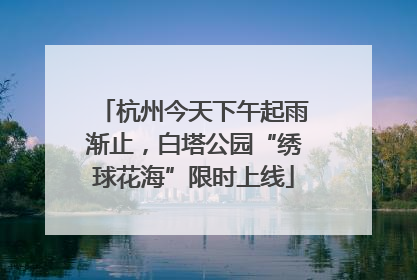 杭州今天下午起雨渐止，白塔公园“绣球花海”限时上线