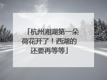 杭州湘湖第一朵荷花开了！西湖的还要再等等