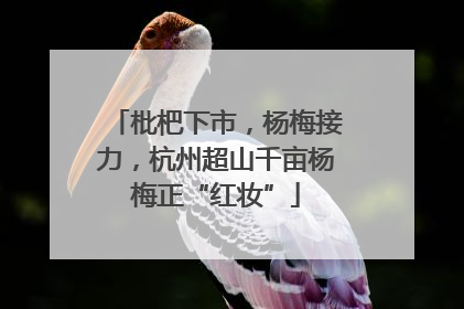 枇杷下市，杨梅接力，杭州超山千亩杨梅正“红妆”