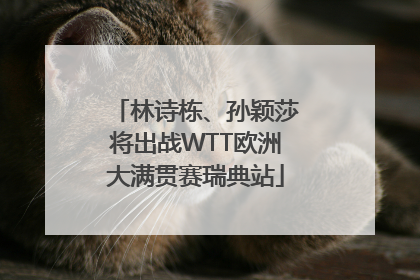 林诗栋、孙颖莎将出战WTT欧洲大满贯赛瑞典站