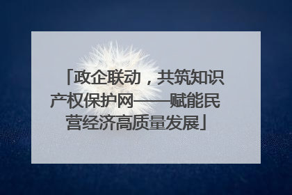 政企联动，共筑知识产权保护网——赋能民营经济高质量发展