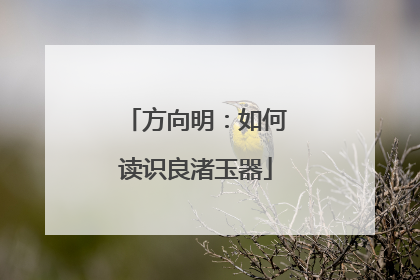 方向明：如何读识良渚玉器