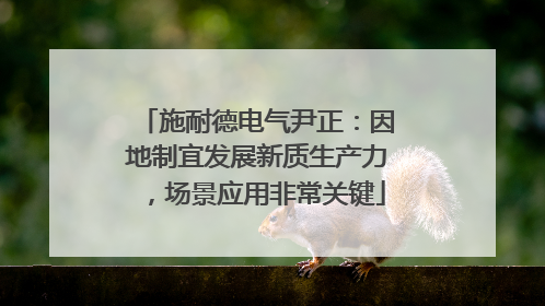 施耐德电气尹正：因地制宜发展新质生产力，场景应用非常关键