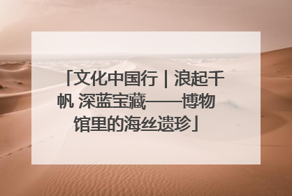文化中国行｜浪起千帆 深蓝宝藏——博物馆里的海丝遗珍