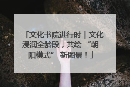 文化书院进行时｜文化浸润全龄段，共绘 “朝阳模式” 新图景！