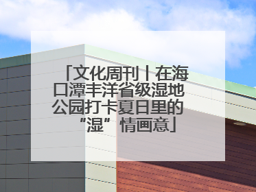 文化周刊丨在海口潭丰洋省级湿地公园打卡夏日里的“湿”情画意