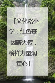 文化路小学：红色基因薪火传，榜样力量润童心