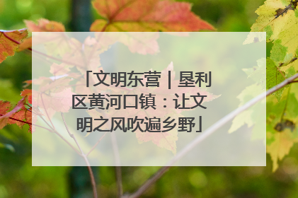 文明东营｜垦利区黄河口镇：让文明之风吹遍乡野