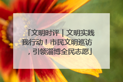 文明时评｜文明实践我行动！市民文明巡访，引领淄博全民志愿