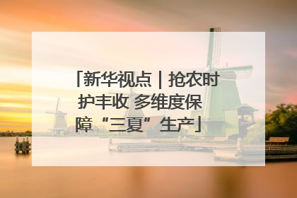 新华视点｜抢农时 护丰收 多维度保障“三夏”生产