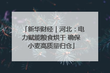 新华财经｜河北：电力赋能粮食烘干 确保小麦高质量归仓