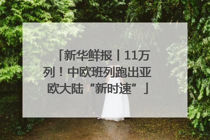 新华鲜报丨11万列！中欧班列跑出亚欧大陆“新时速”