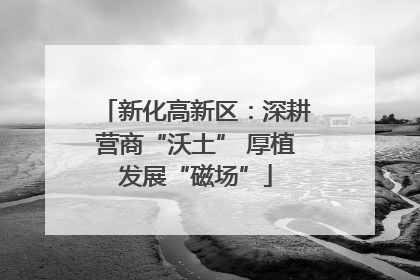 新化高新区：深耕营商“沃土” 厚植发展“磁场”
