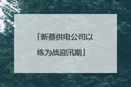 新蔡供电公司以练为战迎汛期