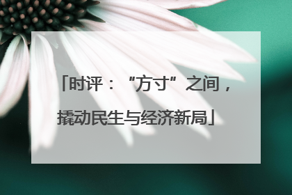 时评：“方寸”之间，撬动民生与经济新局