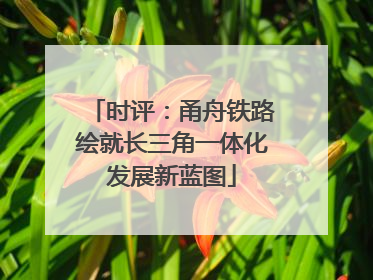 时评：甬舟铁路绘就长三角一体化发展新蓝图