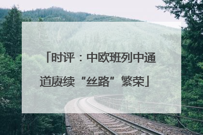 时评：中欧班列中通道赓续“丝路”繁荣